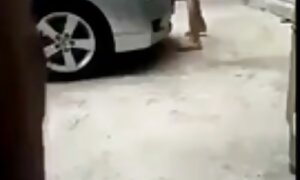 دختر بی تجربگی به کانال سکسی در موبوگرام پدر می دهد